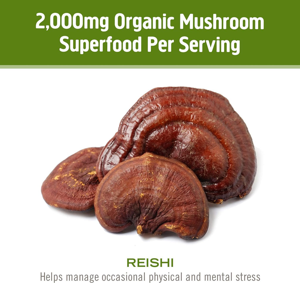 OM MUSHROOM SUPERFOOD Reishi Organic Mushroom Powder – 3.5 oz, 50 Servings, Adaptogen
