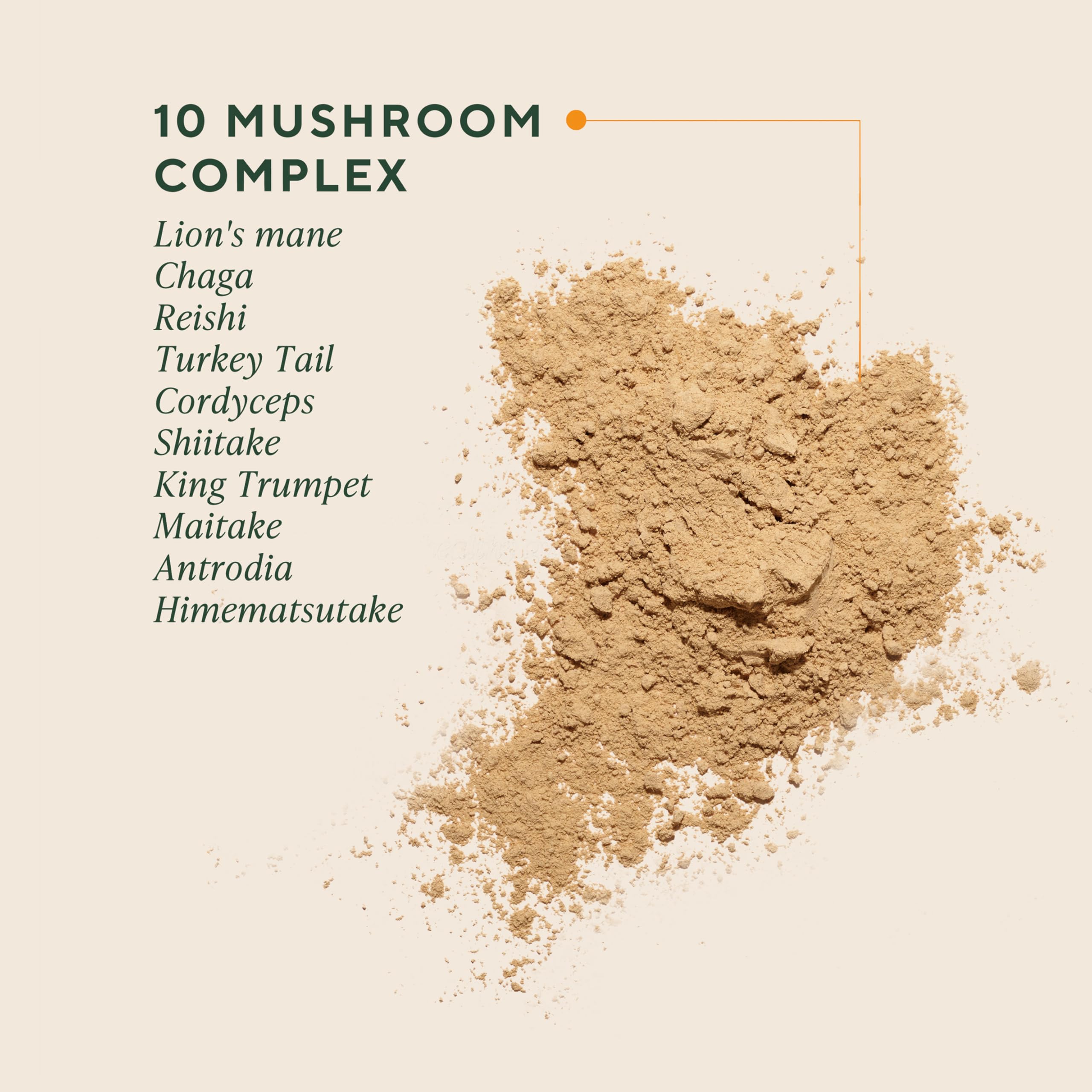 OM Mushrooms Master Blend Mushroom Powder – Organic 10 Mushrooms + Ashwagandha (6.34 oz, 80 Servings)