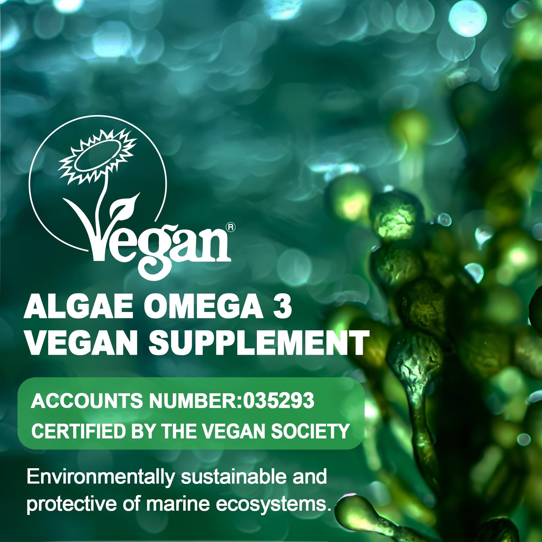 Omega 3 Gummies 2200mg from Algae Oil – DHA 640mg & EPA 290mg | Vegan, Sugar-Free