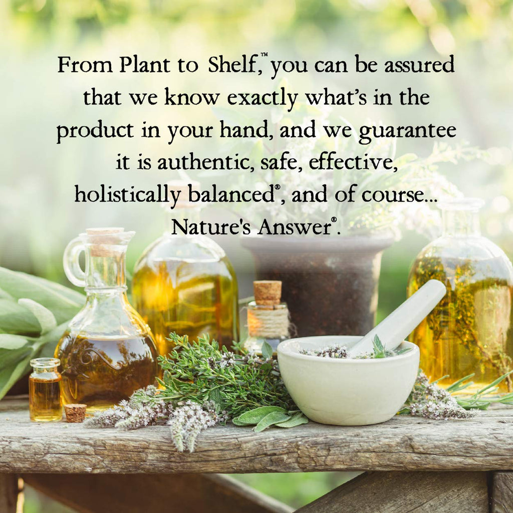 Nature's Answer Liquid Omega-3 | Deep Sea EPA/DHA Fish Oil | Gluten-Free 16oz Pack of 2