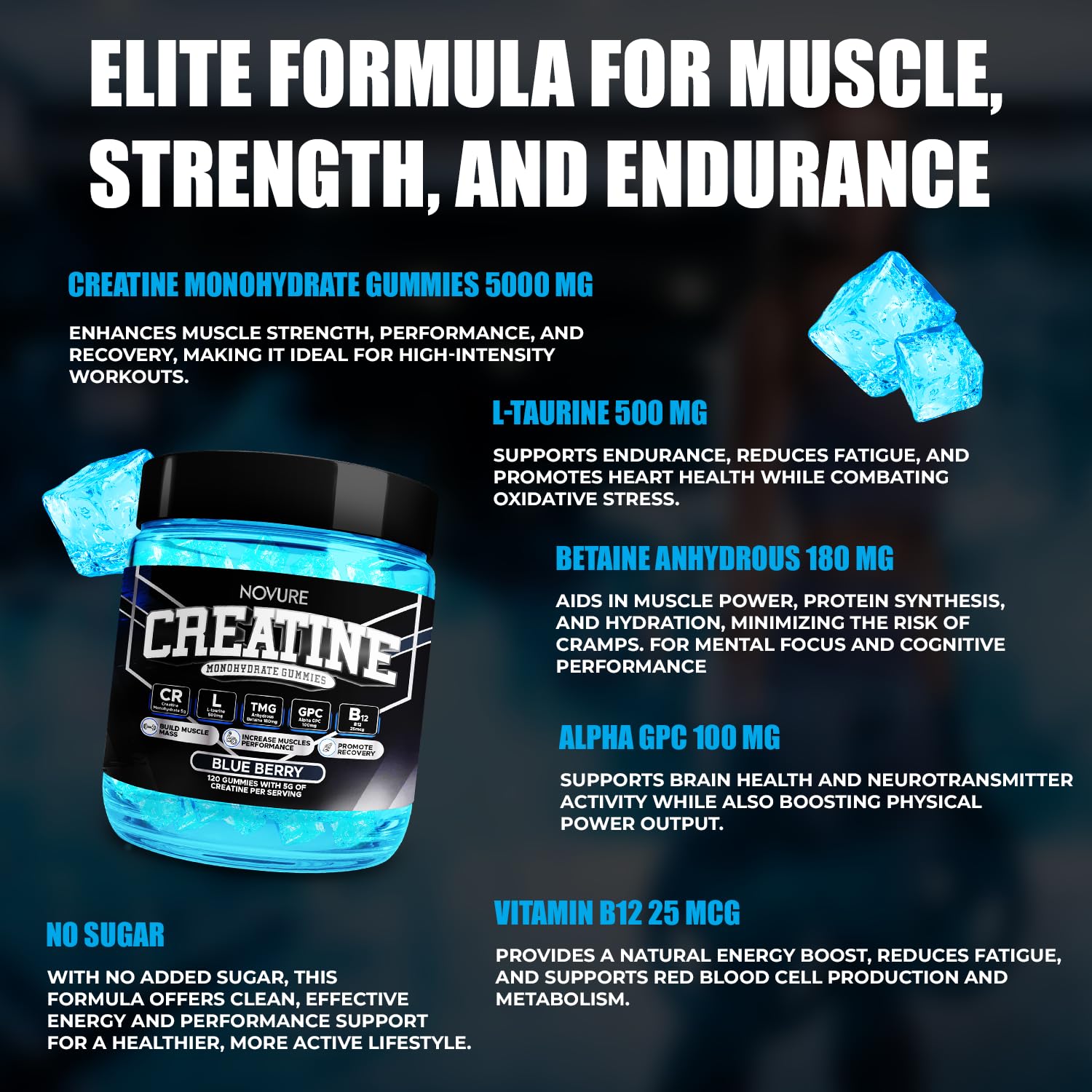 Creatine Monohydrate Gummies 5000mg – Vegan, Sugar-Free, Made in USA | 120 Gummies (30 Servings)