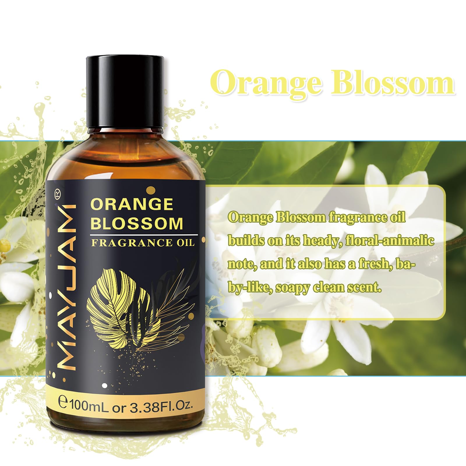 MAYJAM 100ML Orange Blossom Fragrance Oil with Glass Dropper – Diffuser & DIY Soap Candle Making