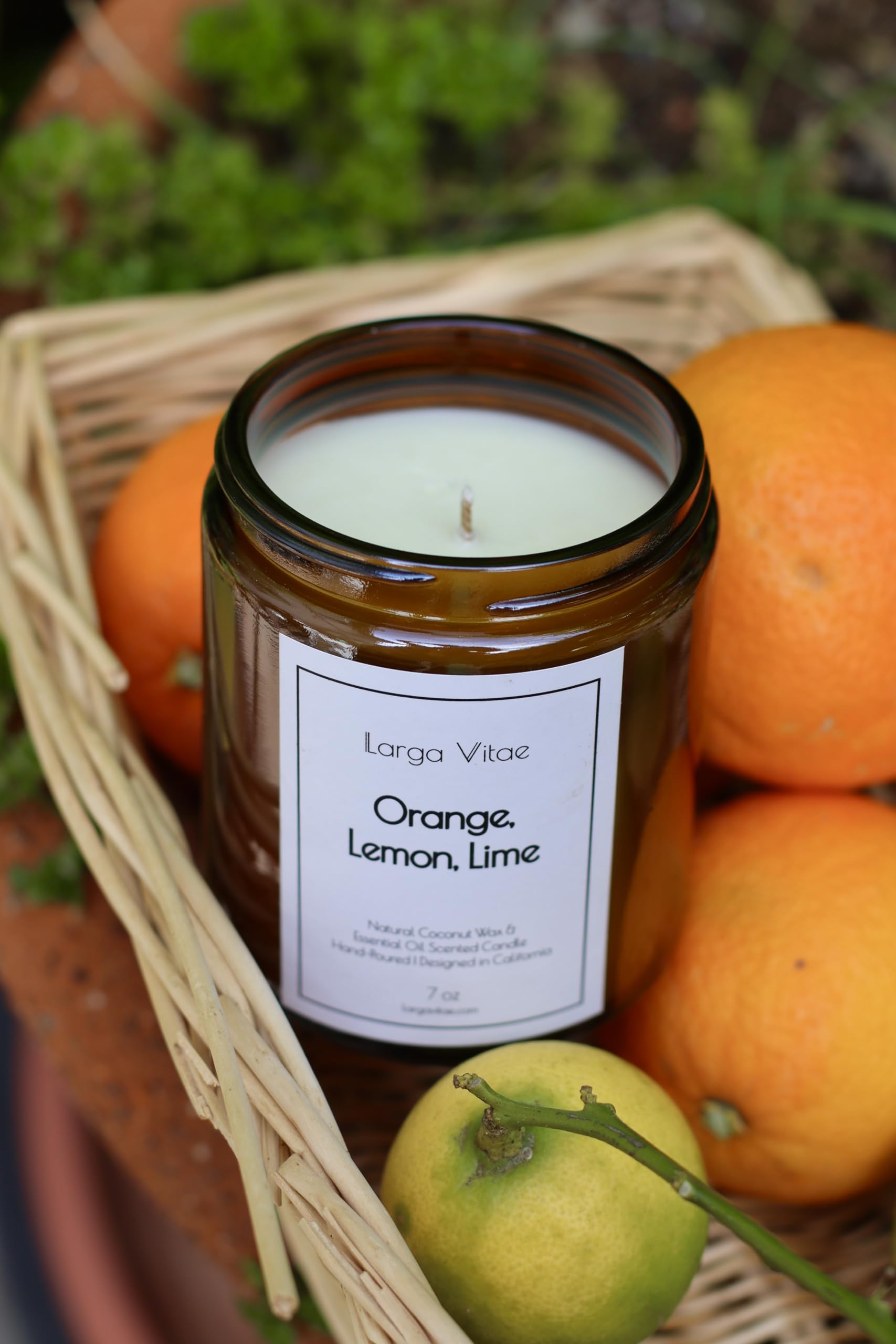 All-Natural Orange, Lemon & Lime Aromatherapy Candle | Vegan, Non-Toxic