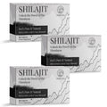 ORBILIVE Shilajit Tablets 1000 MG — Himalayan Organic, 180 Count