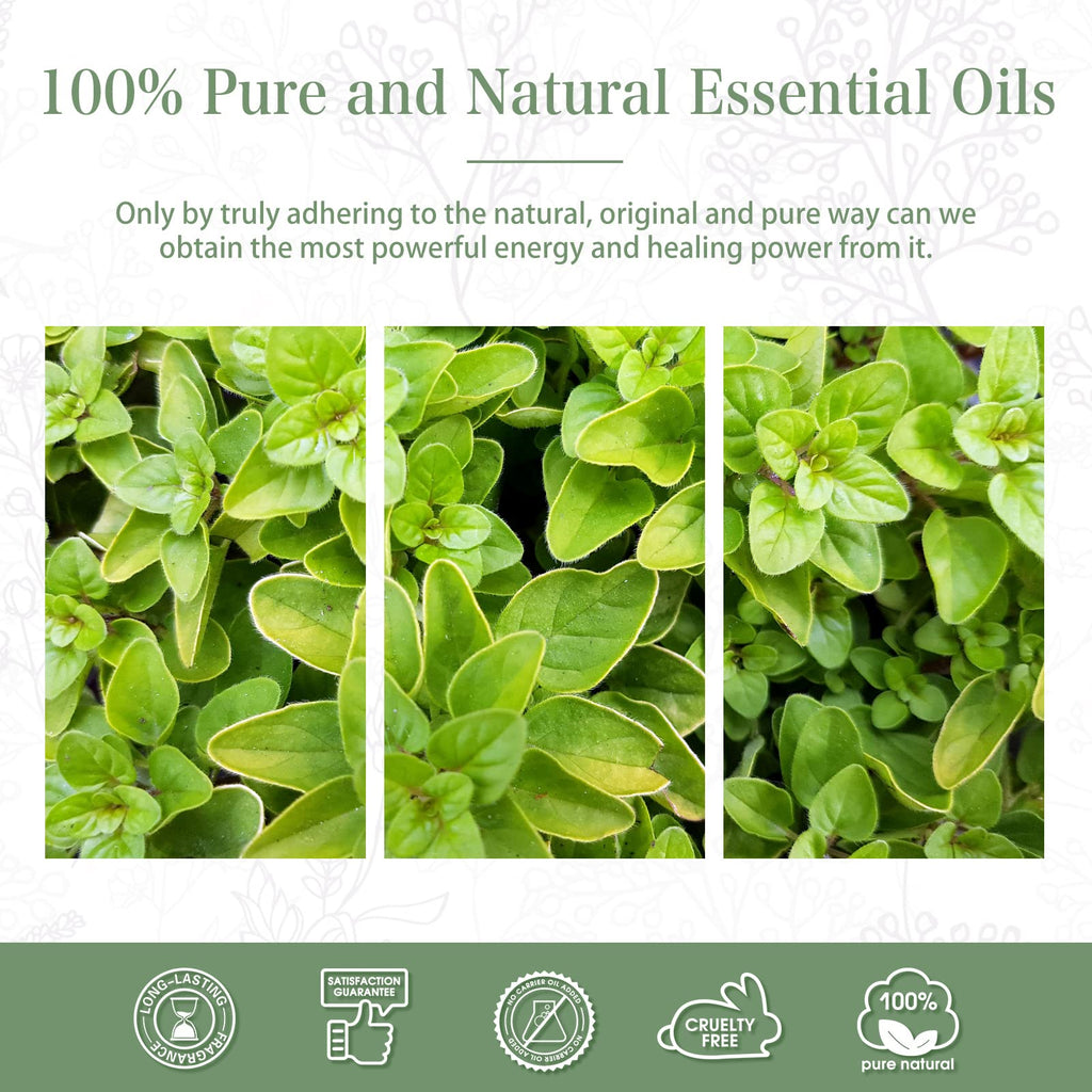 Oregano Essential Oil 30ml | PHATOIL Aromatherapy for Diffusers, DIY Soap & Candles