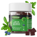 Oregano Oil Gummies with Black Seed – 6-in-1 Immune Support (Sugar-Free) | 90 Chewables