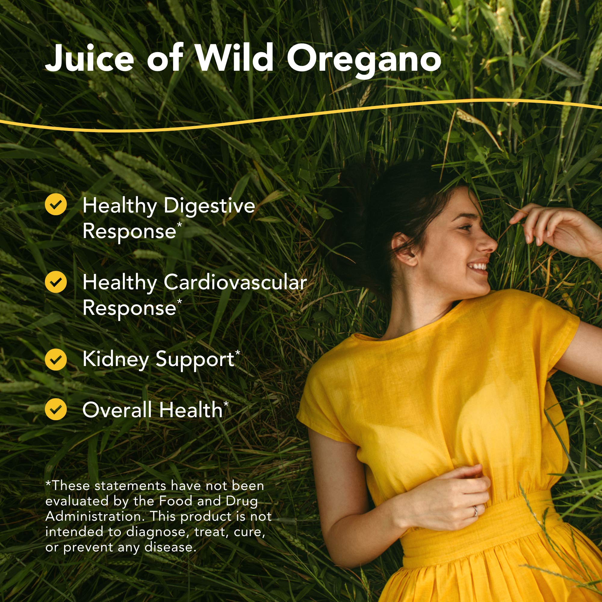 North American Herb & Spice Oreganol P73 Juice – 12 fl oz Pack of 3 | Wild Oregano Oil