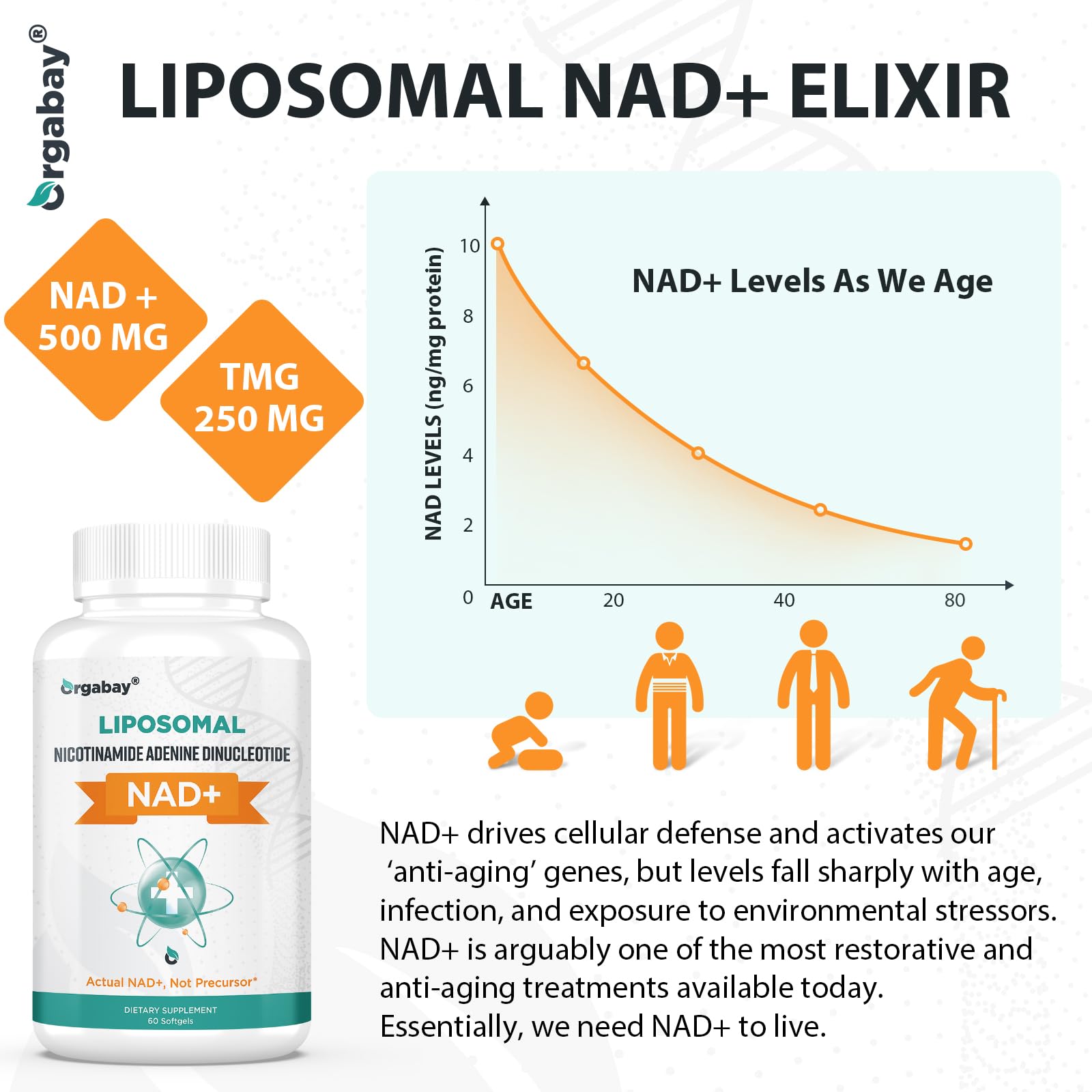 Orgabay Liposomal NAD+ Supplement 500 mg + 250 mg TMG | High Absorption, 60-Day Supply