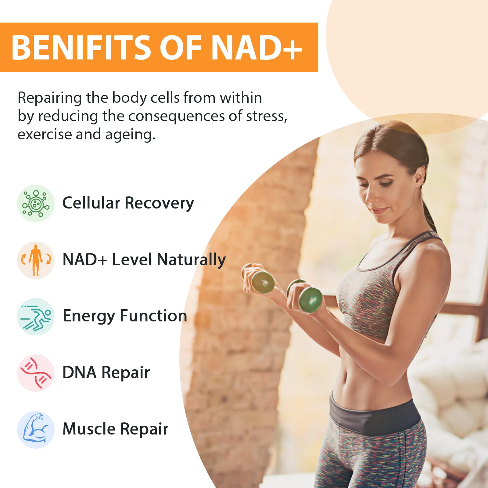 Orgabay Liposomal NAD+ Supplement 500 mg + 250 mg TMG – High Absorption NAD+ | 480 Softgels