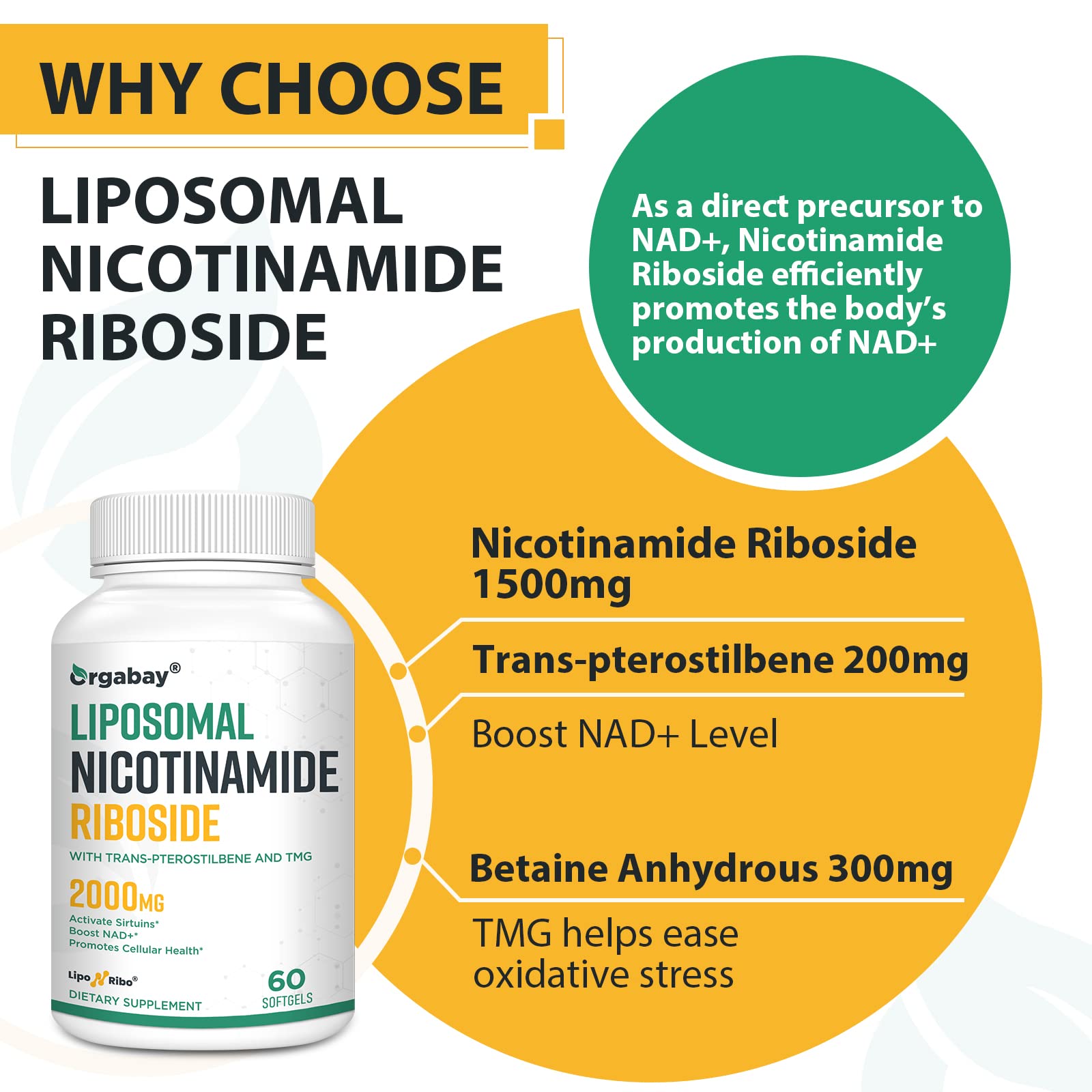 Orgabay Liposomal Nicotinamide Riboside 2000 MG with TMG and Pterostilbene – NAD+ Support for Healthy Aging, 120 Count