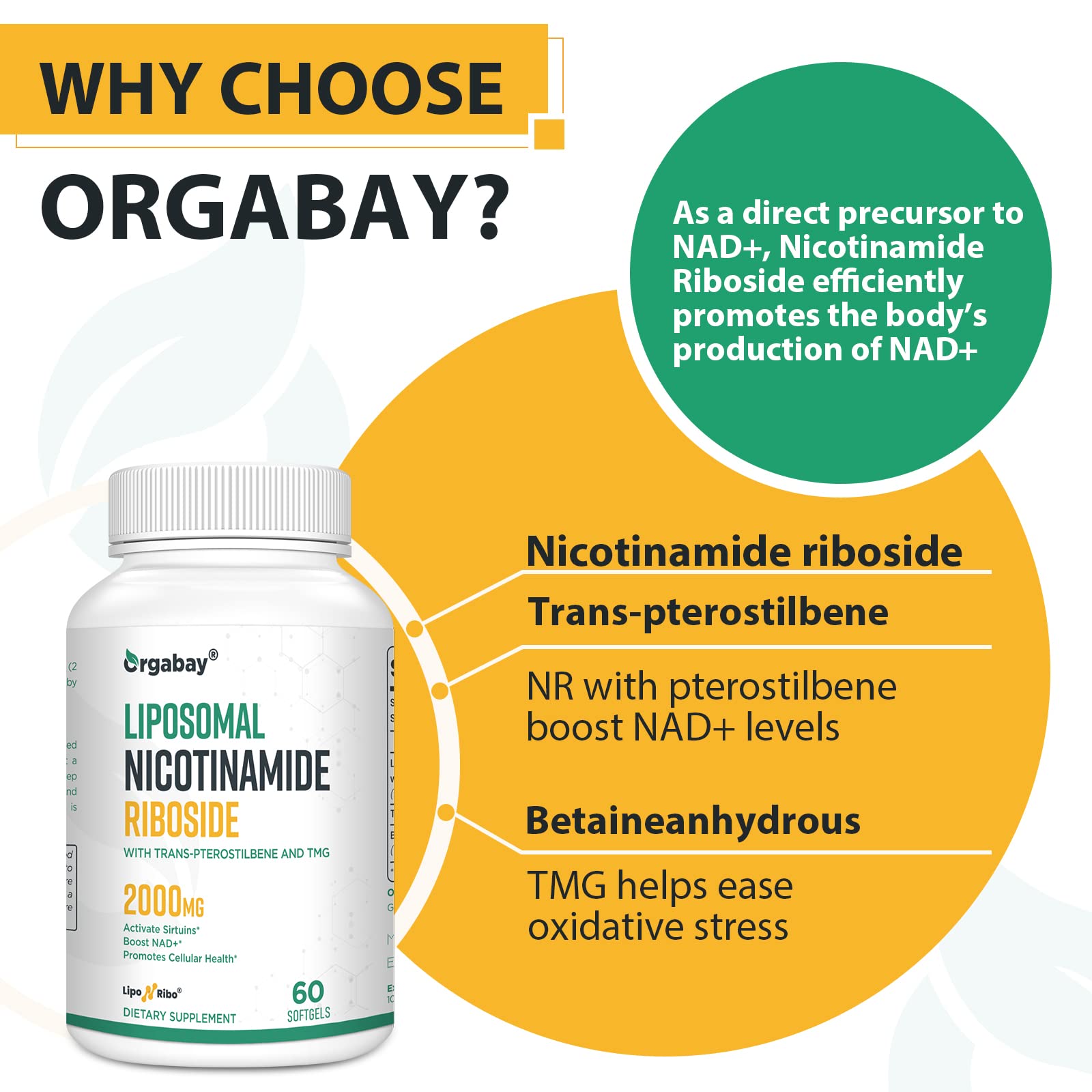 Orgabay Liposomal Nicotinamide Riboside 2000 MG | NAD+ Support