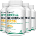 Orgabay Liposomal Nicotinamide Riboside 2000 MG with TMG & Pterostilbene | NAD+ Support, 240 Count
