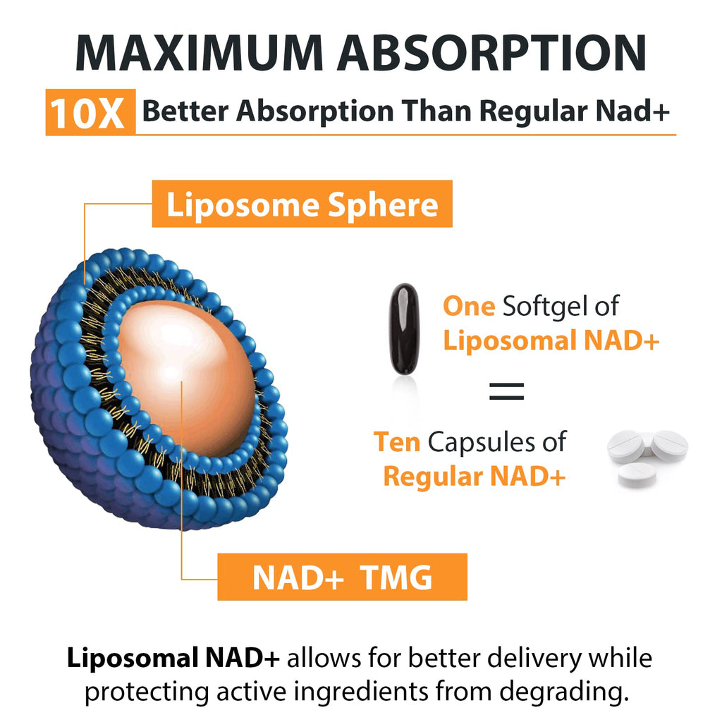 Orgabay Liposomal NAD+ Supplement 500 mg with 250 mg TMG — High Absorption, 180 Softgels