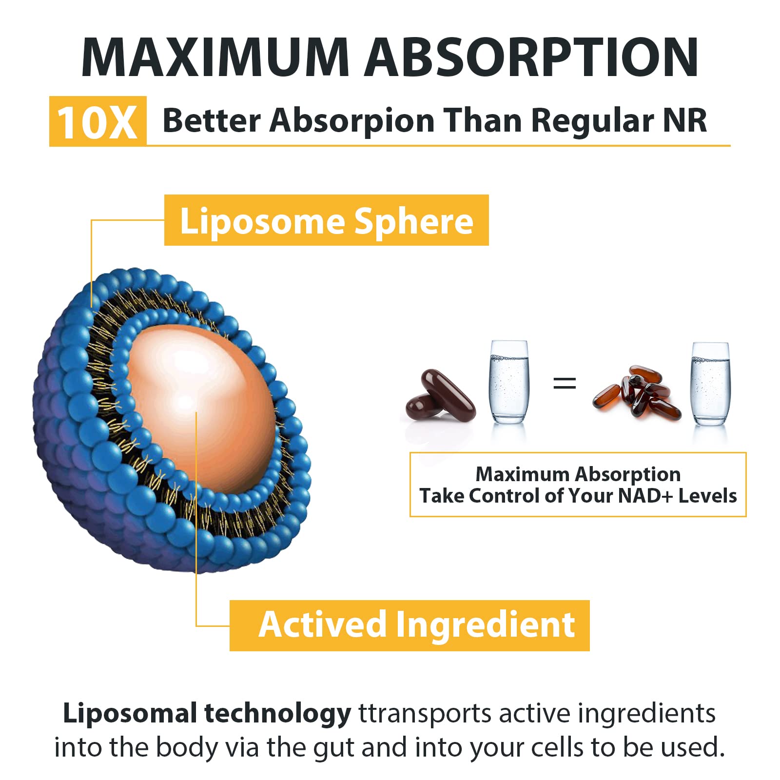 Orgabay Liposomal Nicotinamide Riboside 2000 MG – TMG & Pterostilbene, NAD+ Support, 360 Count