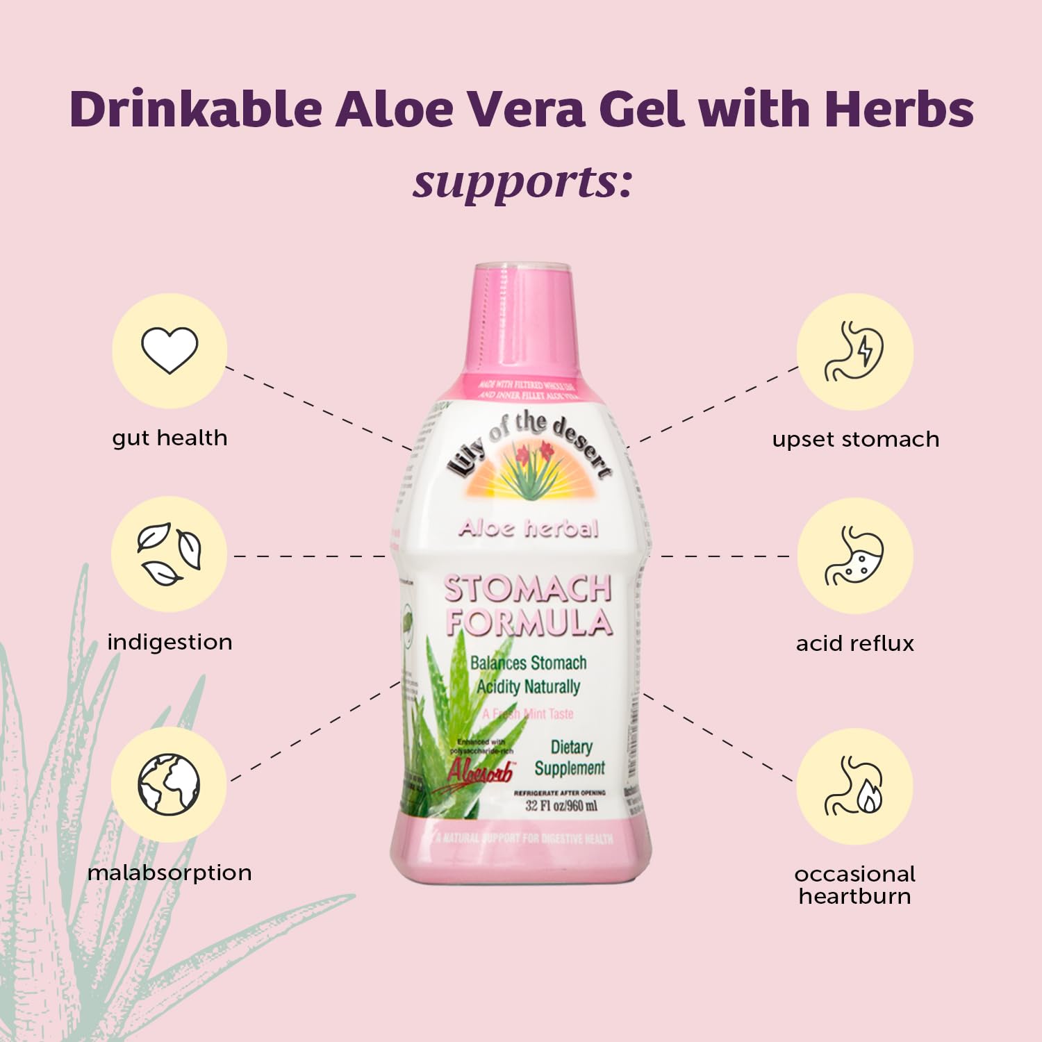 Lily Of The Desert Stomach Formula - Organic Aloe Vera Juice for Gut Health & Heartburn Relief - 32 oz