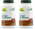 Organic Chaga Mushrooms – DNA Verified 1500mg per Serving – Non-GMO, Gluten & Soy Free, Vegan (Pack of 2)