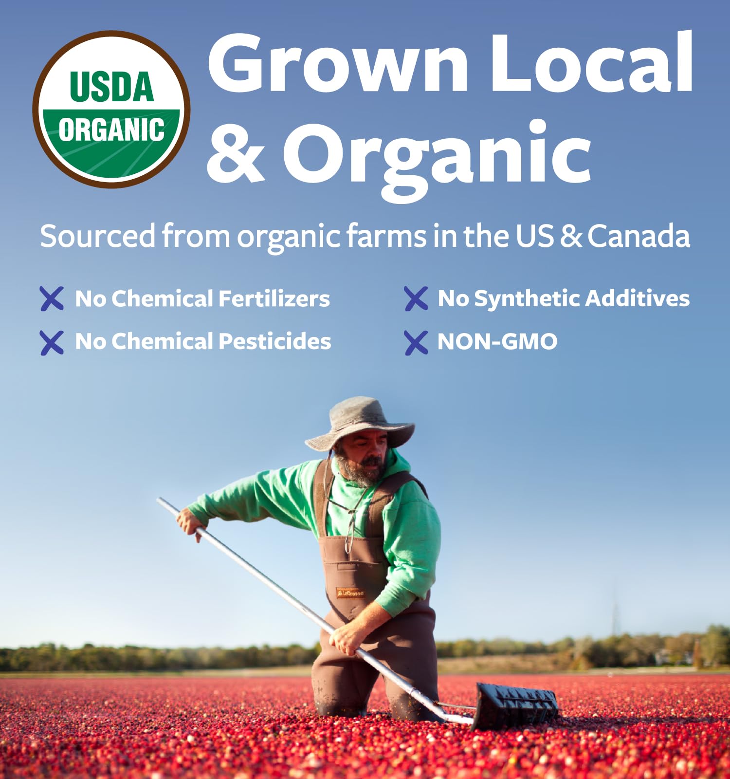 USDA Organic Cranberry Powder - 50:1 Concentrate for Urinary Tract Health (Vegan, Non-GMO, Filler Free) - 200 Servings
