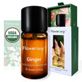 Organic Ginger Essential Oil 10ml – USDA Certified, 100% Pure