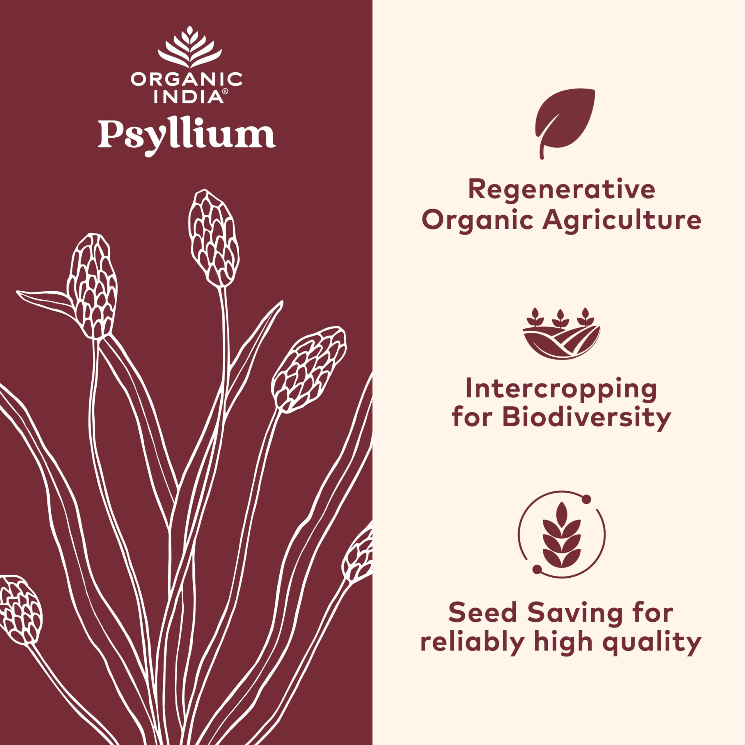 ORGANIC INDIA Psyllium Husk Capsules - Fiber Supplement | Vegan, Gluten-Free, USDA Organic