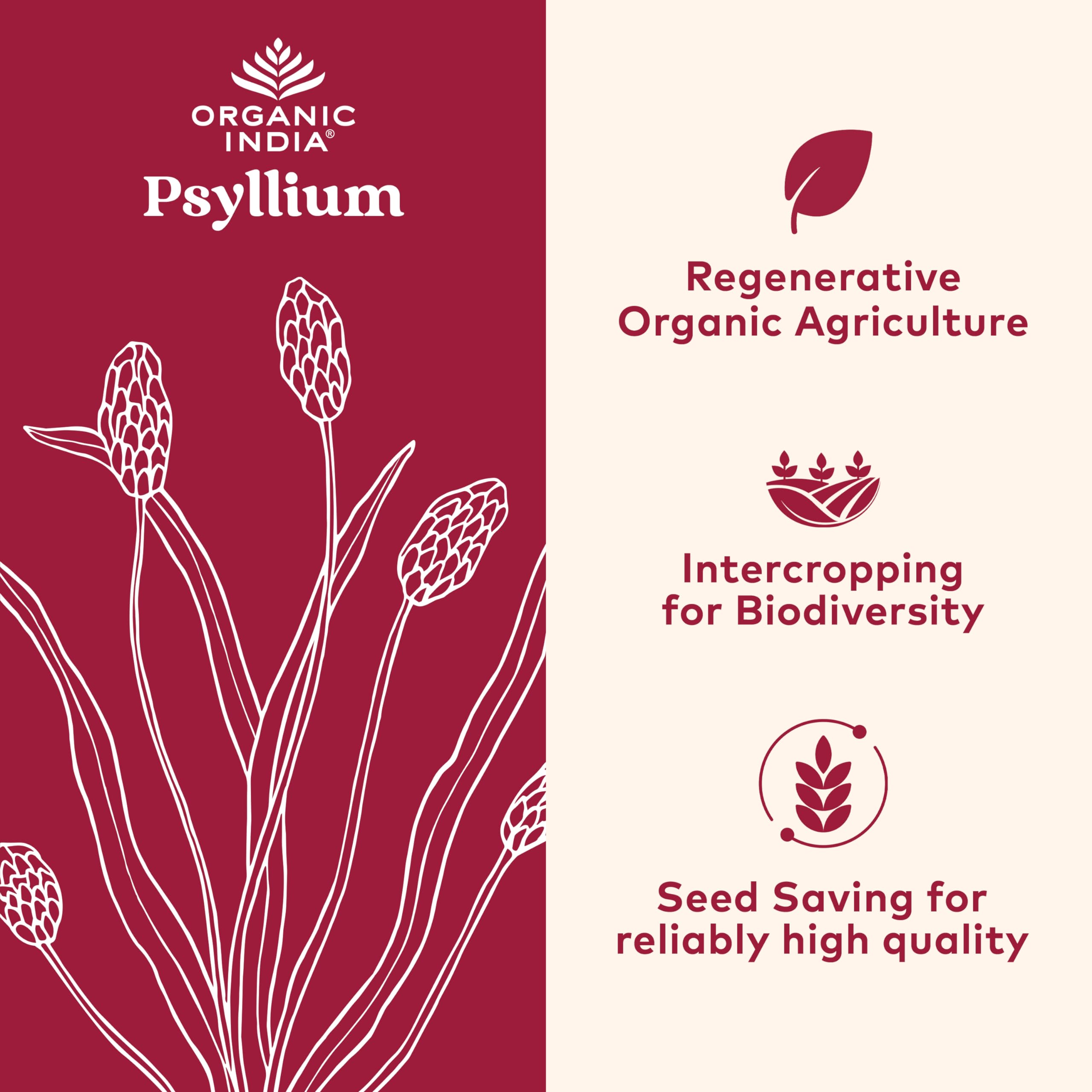 Organic India Psyllium Husk Powder - Whole Fiber, Digestion Support (12 oz x2)