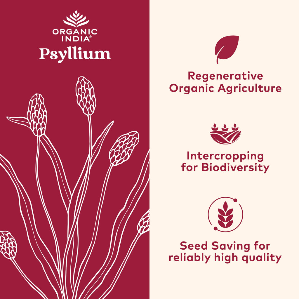Organic India Psyllium Herbal Powder – Whole Husk Fiber, 12 oz Canister, 3 Pack | Keto, Vegan, Gluten-Free, USDA Organic