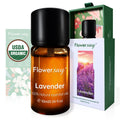 Organic Lavender Essential Oil - 100% Pure, Calming Aromatherapy Oil 10ml