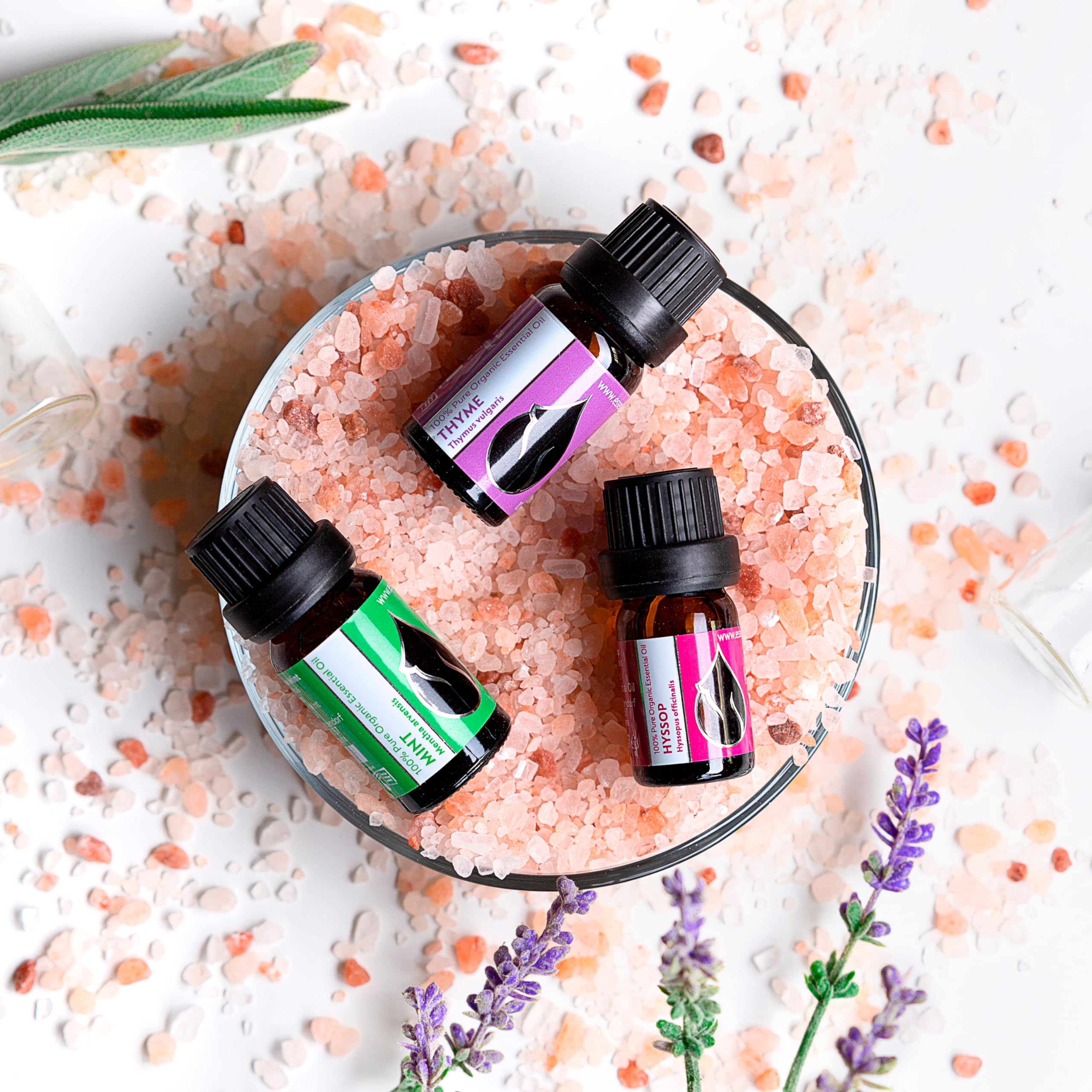 Organic Mint Essential Oil 1/3 Oz (10ml) Mentha arvensis – 100% Pure & Undiluted Aromatherapy