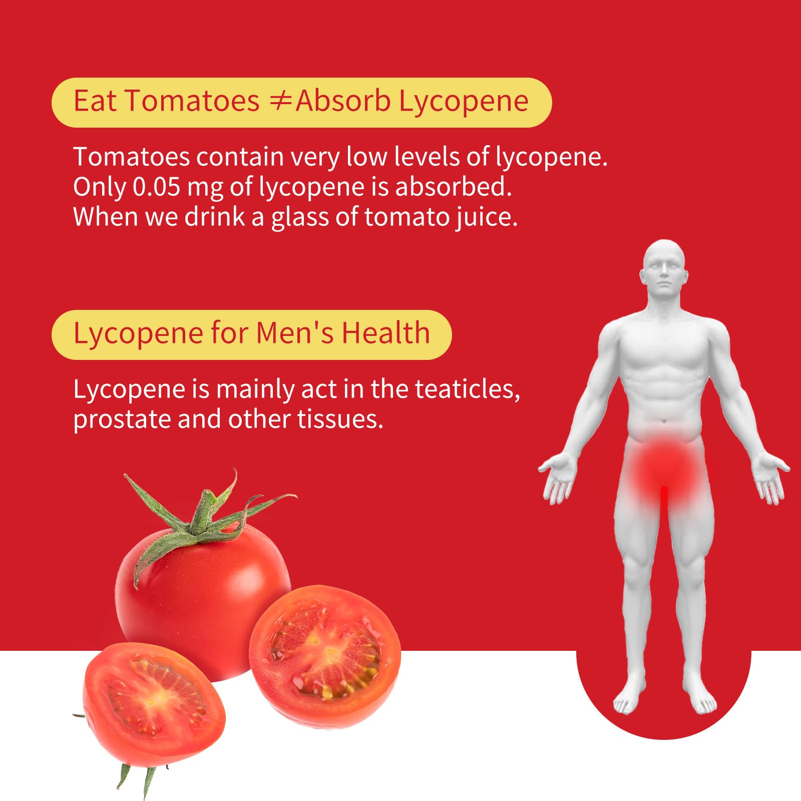 GANOHERB Lycopene Supplement for Men – 100 mg Lycopene, 60 Rapid Release Capsules, 2-Month Supply