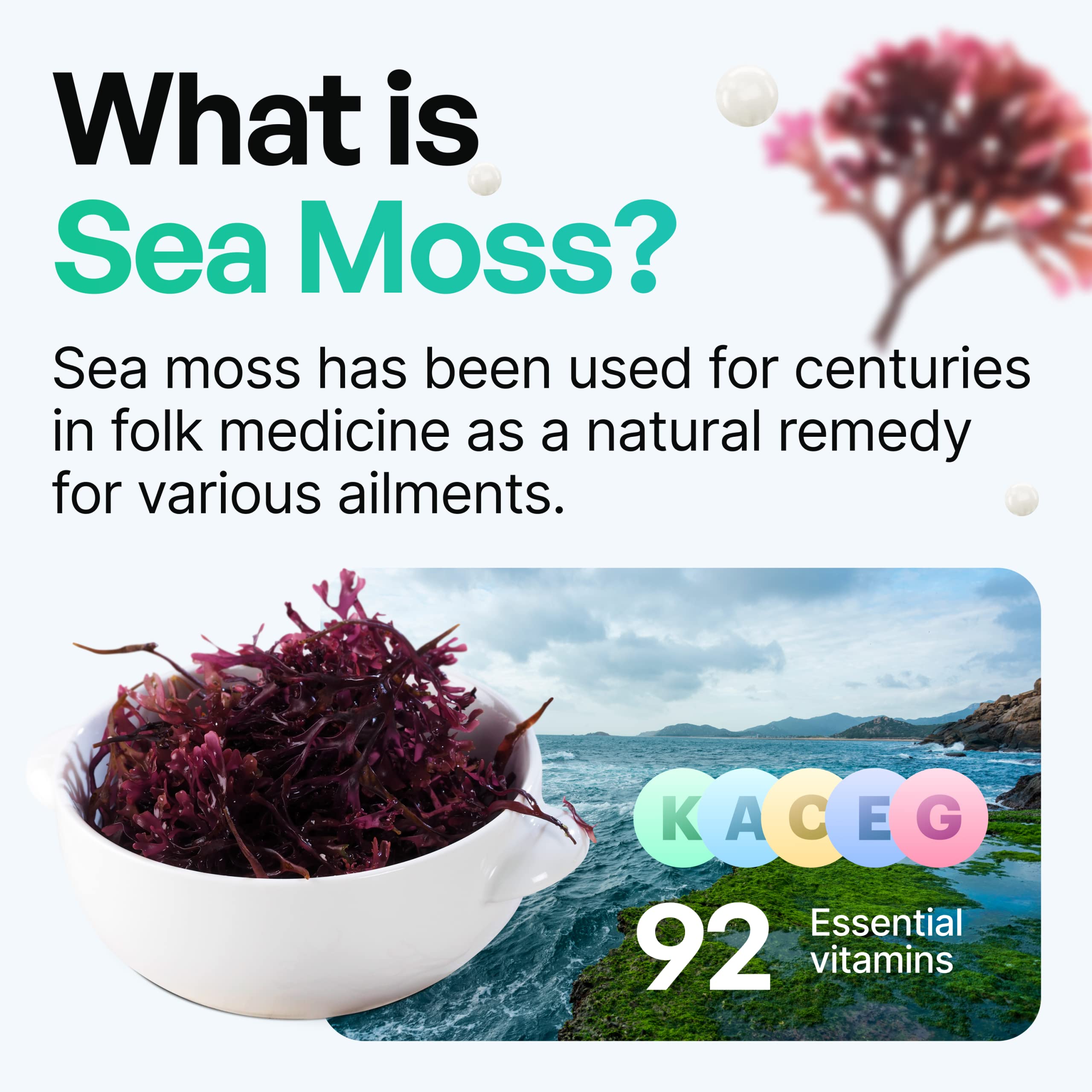 Organic Irish Sea Moss Pills - Wildcrafted Dr Sebi Inspired Seamoss Blend with Turmeric, Burdock Root & Bladderwrack, Enhanced with Black Pepper - 60 Capsules