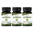 Organic Spree Alfalfa 120 Tablets | Medicago Sativa | USDA Organic | Pack of 3