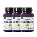 ORGANIC SPREE Gokshura 120 Tablets | Tribulus Terrestris | USDA Organic Certified | Supports Immunity & Strength | Pack of 3