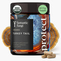 Organic Turkey Tail Mushroom Capsules – Immune & Gut Health (120 Caps, Vegan)