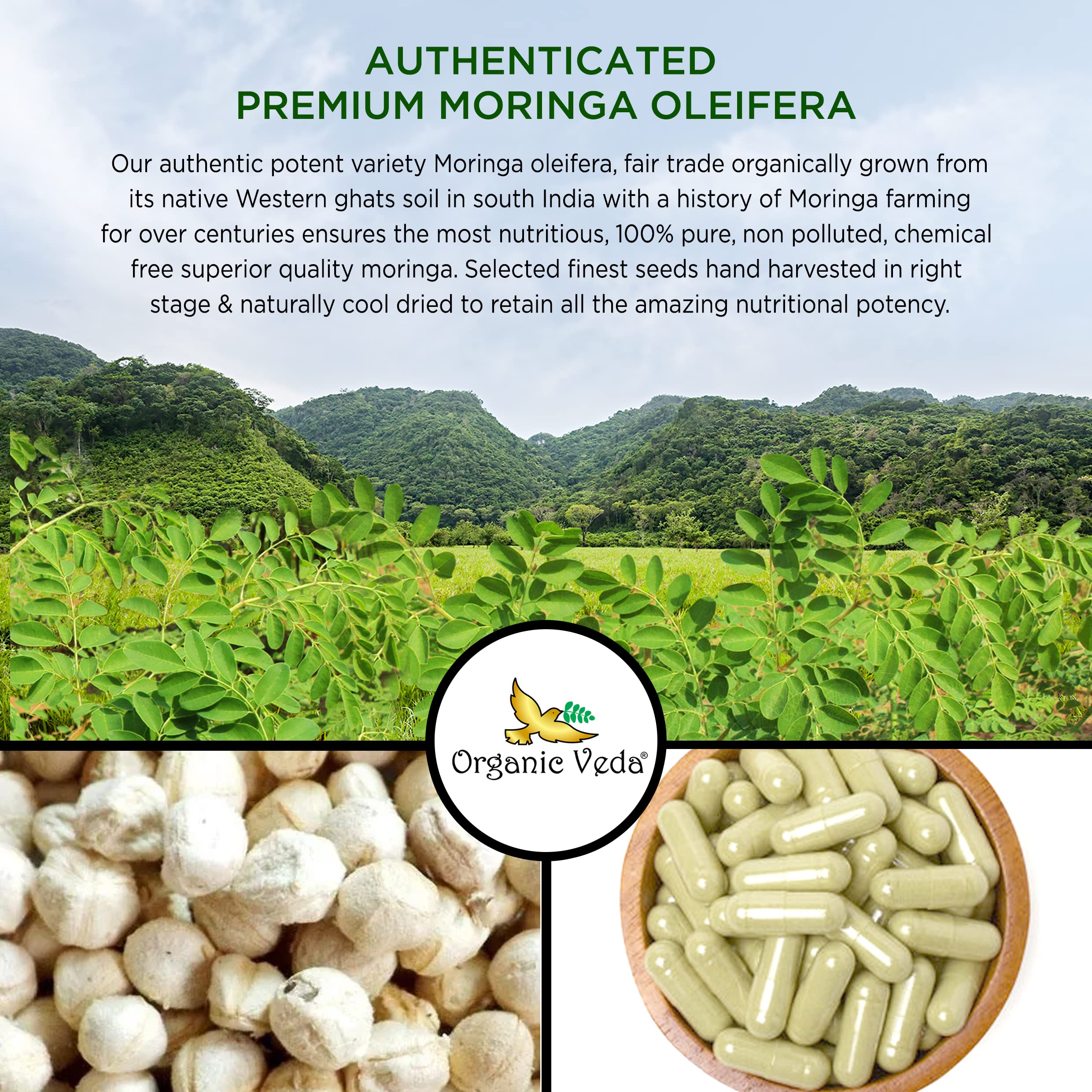 Organic Veda Moringa Seed Capsules – 1000 mg Moringa Seed Powder & Oil, 120 ct
