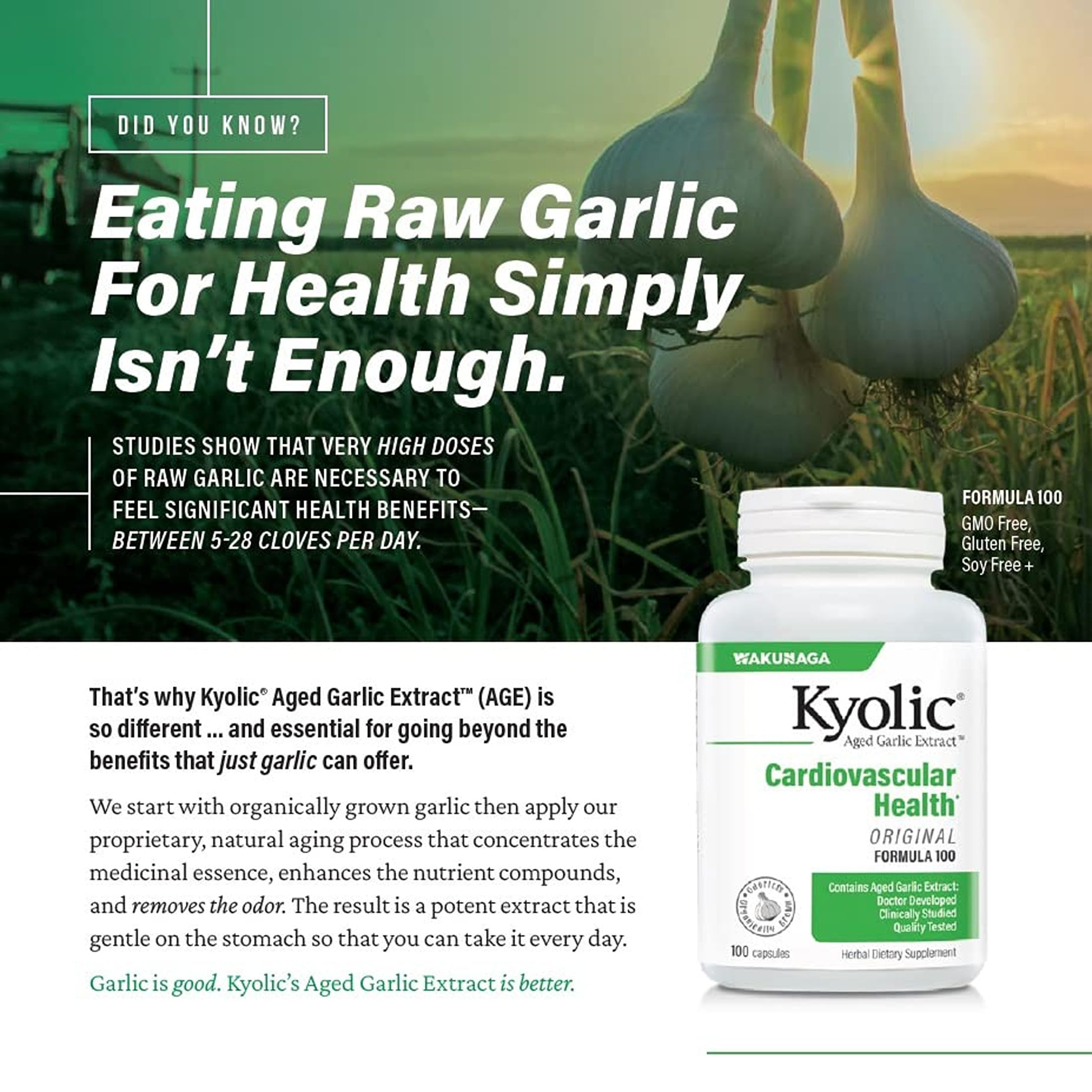 Kyolic Aged Garlic Extract Formula 300 – Cardiovascular Health, Vegan, 360 Capsules
