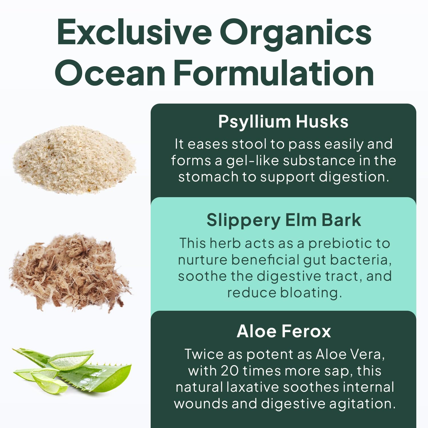 Organics Ocean Better Fiber - Daily Fiber Supplement for Softer Stool - 90 Capsules