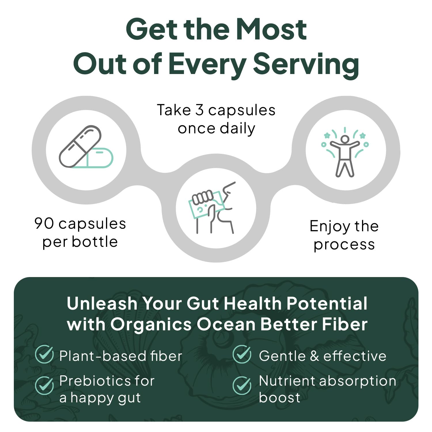 Organics Ocean Better Fiber - Daily Fiber Supplement for Gentle, Regular Bowel Movements (3 Bottles)