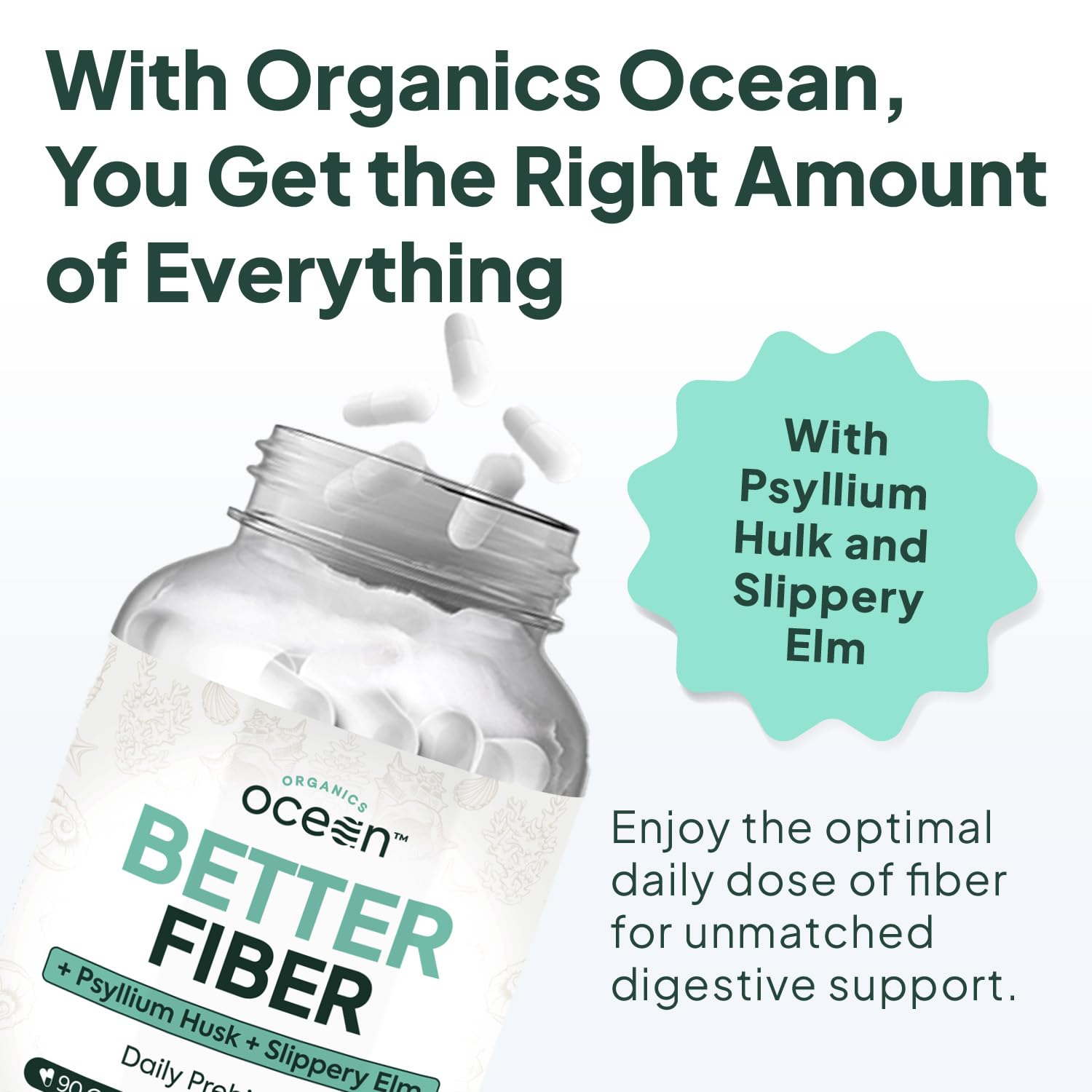 Organics Ocean Better Fiber - Daily Fiber Supplement for Gentle, Regular Bowel Movements (3 Bottles)