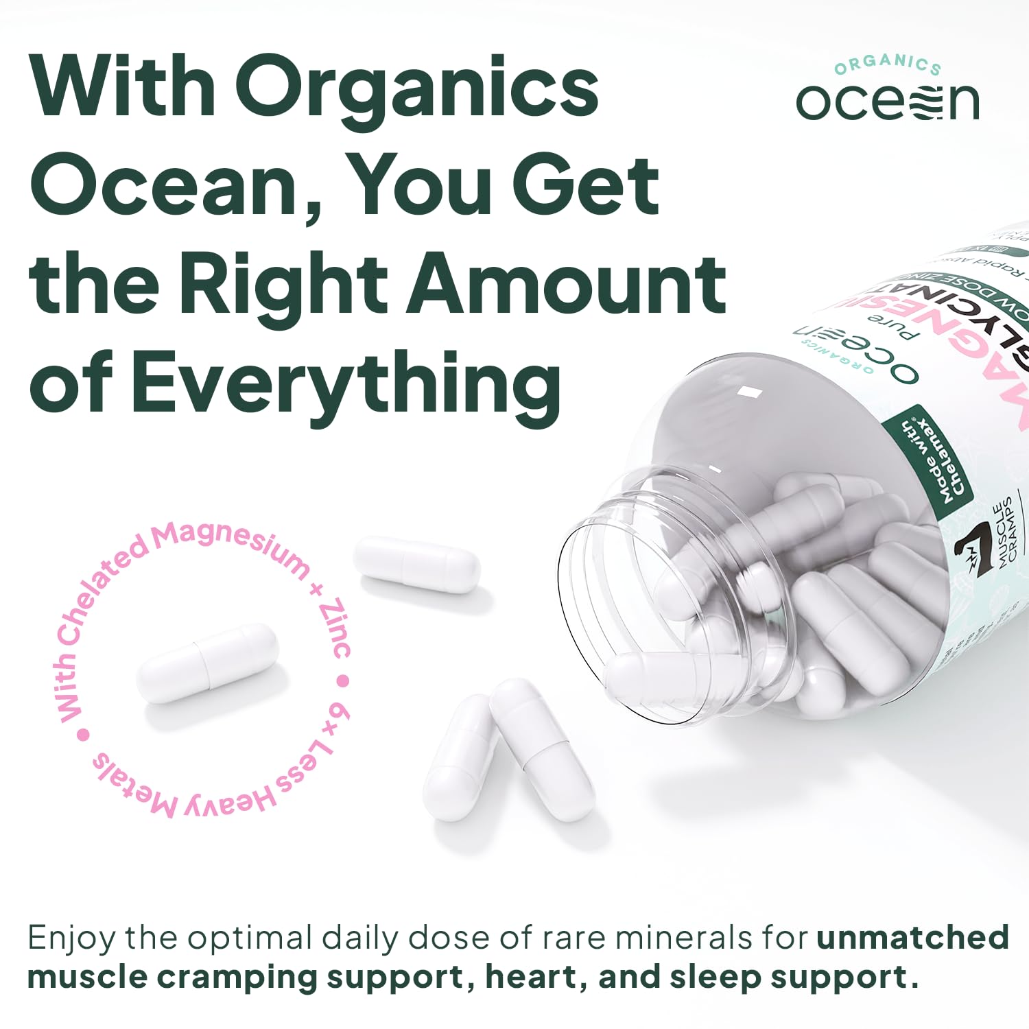 Organics Ocean Pure Magnesium Glycinate with Zinc – Maximum Strength Chelated Magnesium for Sleep & Muscle Support (6 Bottles)