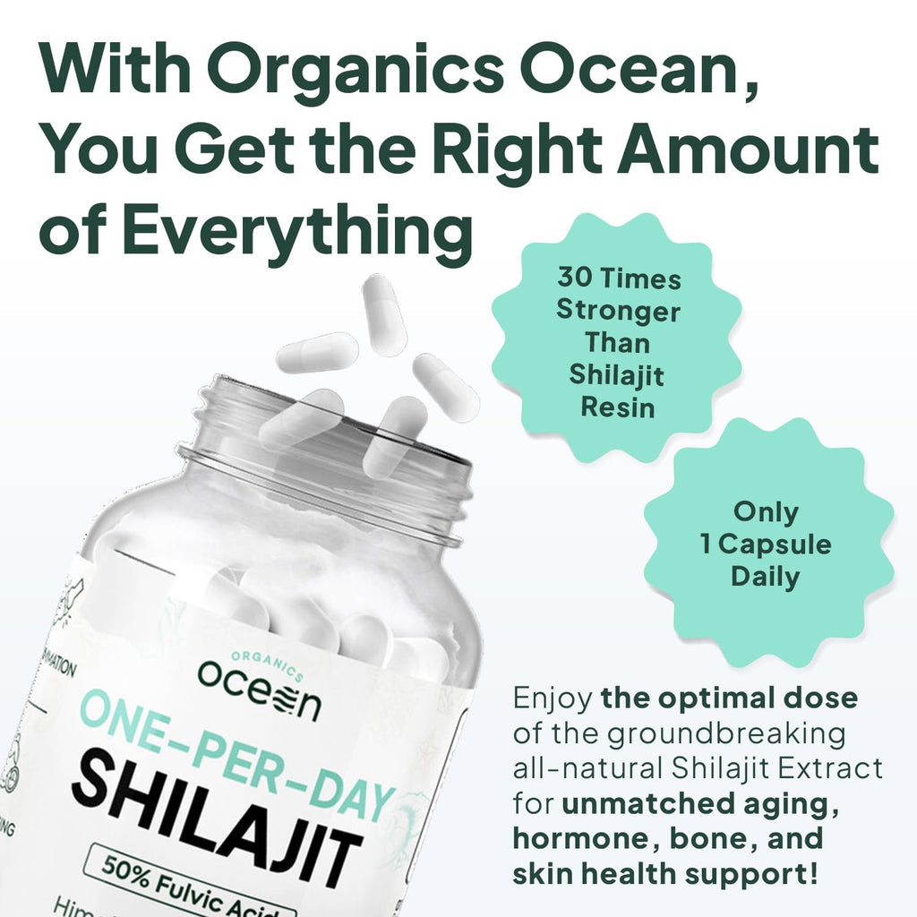 Organics Ocean One-Per-Day Shilajit Capsules – Premium Himalayan Shilajit (6 Bottles)