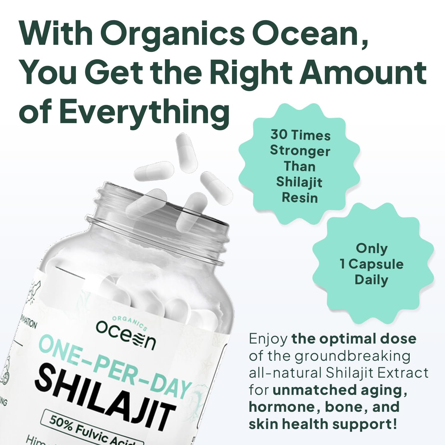 Organics Ocean One-Per-Day Shilajit Capsules – Premium Himalayan Shilajit (6 Bottles)