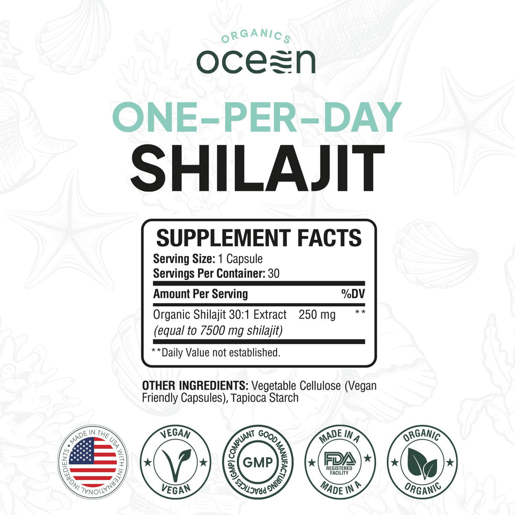 Organics Ocean One-Per-Day Shilajit Capsules – Premium Himalayan Shilajit (6 Bottles)