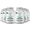 Organics Ocean Real Magnesium Citrate – High-Absorption Chelated Magnesium for Energy, Relaxation, and Regularity – 6 Pack