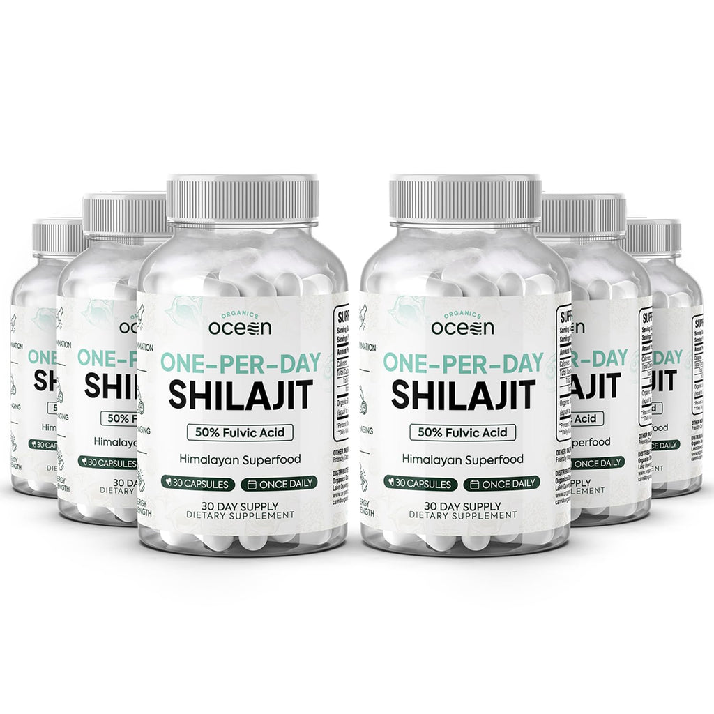 Organics Ocean One-Per-Day Shilajit Capsules – Himalayan Shilajit for Hormone Support – 6 Bottles