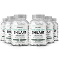 Organics Ocean One-Per-Day Shilajit Capsules – Premium Himalayan Shilajit (6 Bottles)
