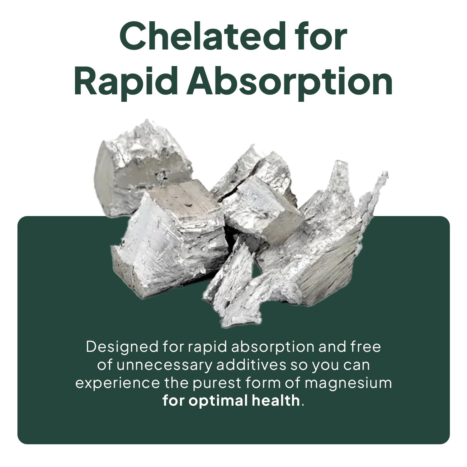 Organics Ocean Real Magnesium Citrate - High Absorption Chelated Magnesium Supplement - 3 Pack Bulk