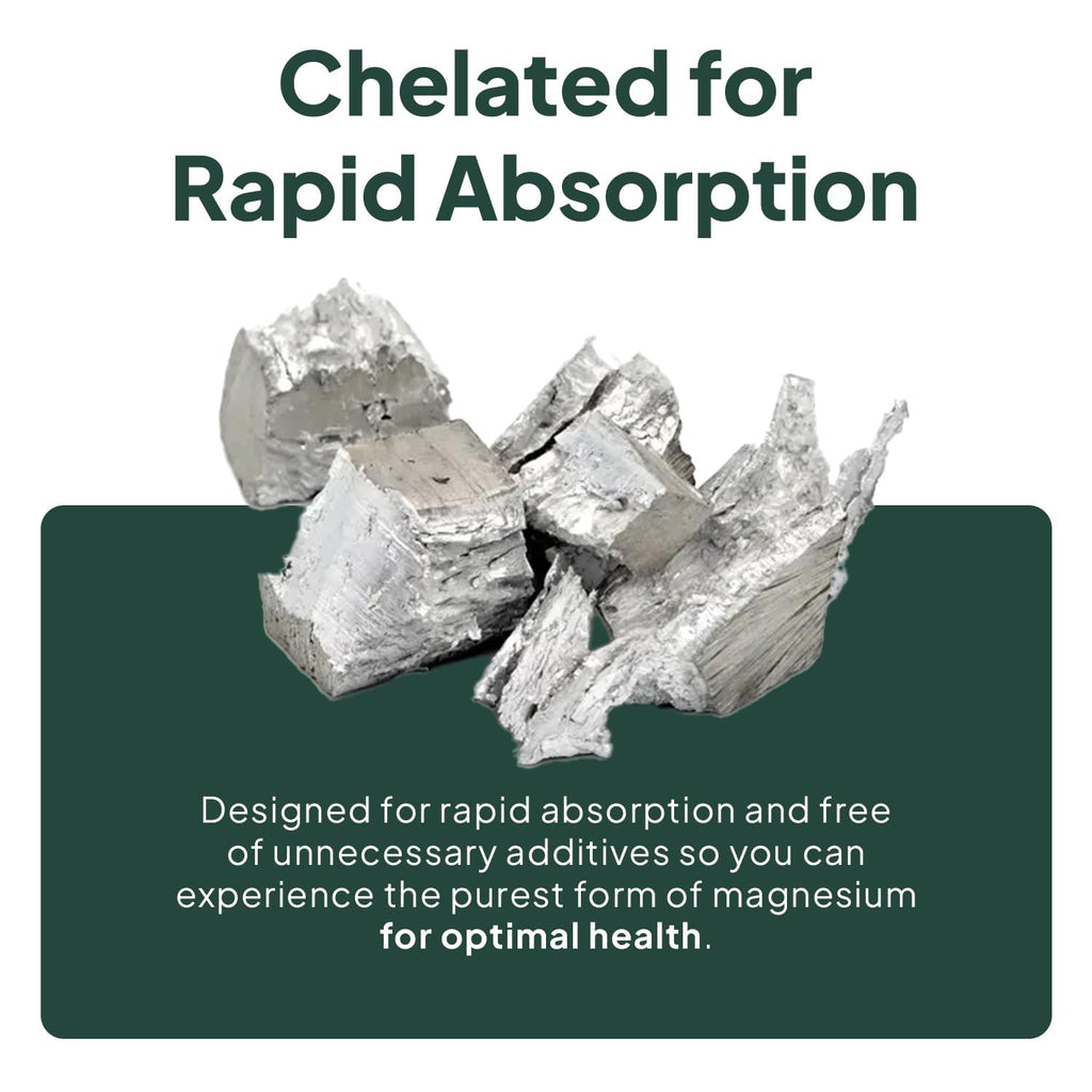 Organics Ocean Real Magnesium Citrate - High Absorption Chelated Magnesium Supplement - 3 Pack Bulk