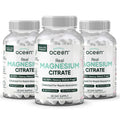 Organics Ocean Real Magnesium Citrate - High Absorption Chelated Magnesium Supplement - 3 Pack Bulk