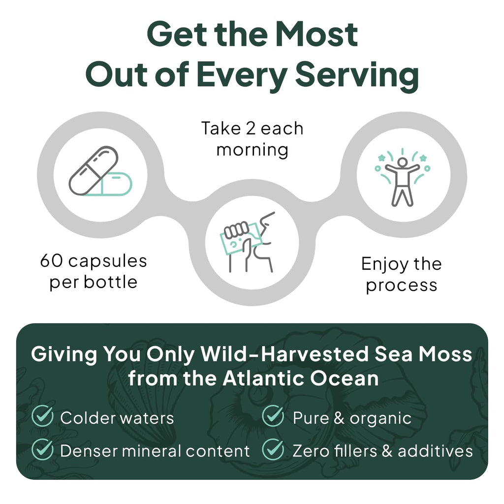 Organics Ocean Wild Sea Moss Capsules – 60 Capsules | Organic Irish Sea Moss, Bladderwrack, Chlorella & Vitamin D3