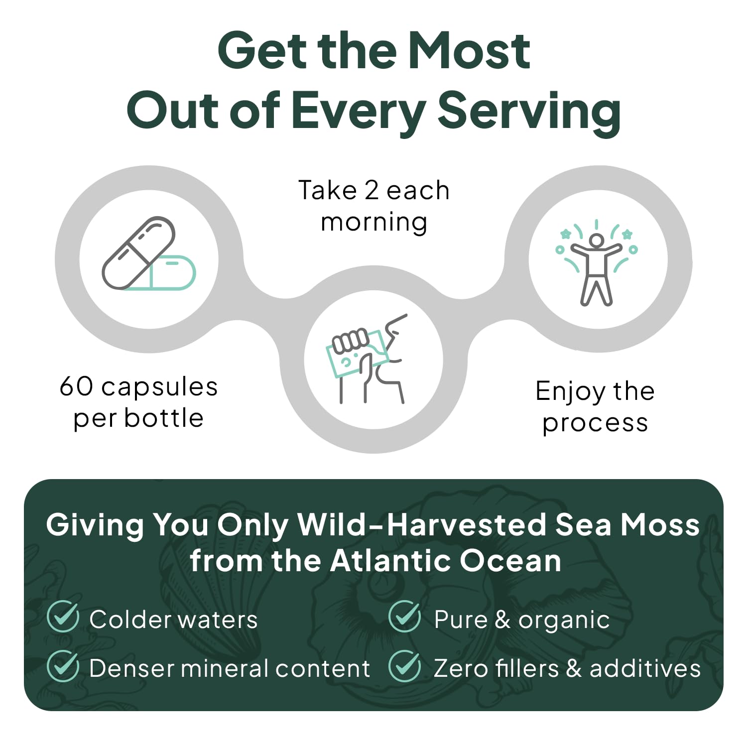 Organics Ocean Wild Sea Moss Capsules – 60 Capsules | Organic Irish Sea Moss, Bladderwrack, Chlorella & Vitamin D3