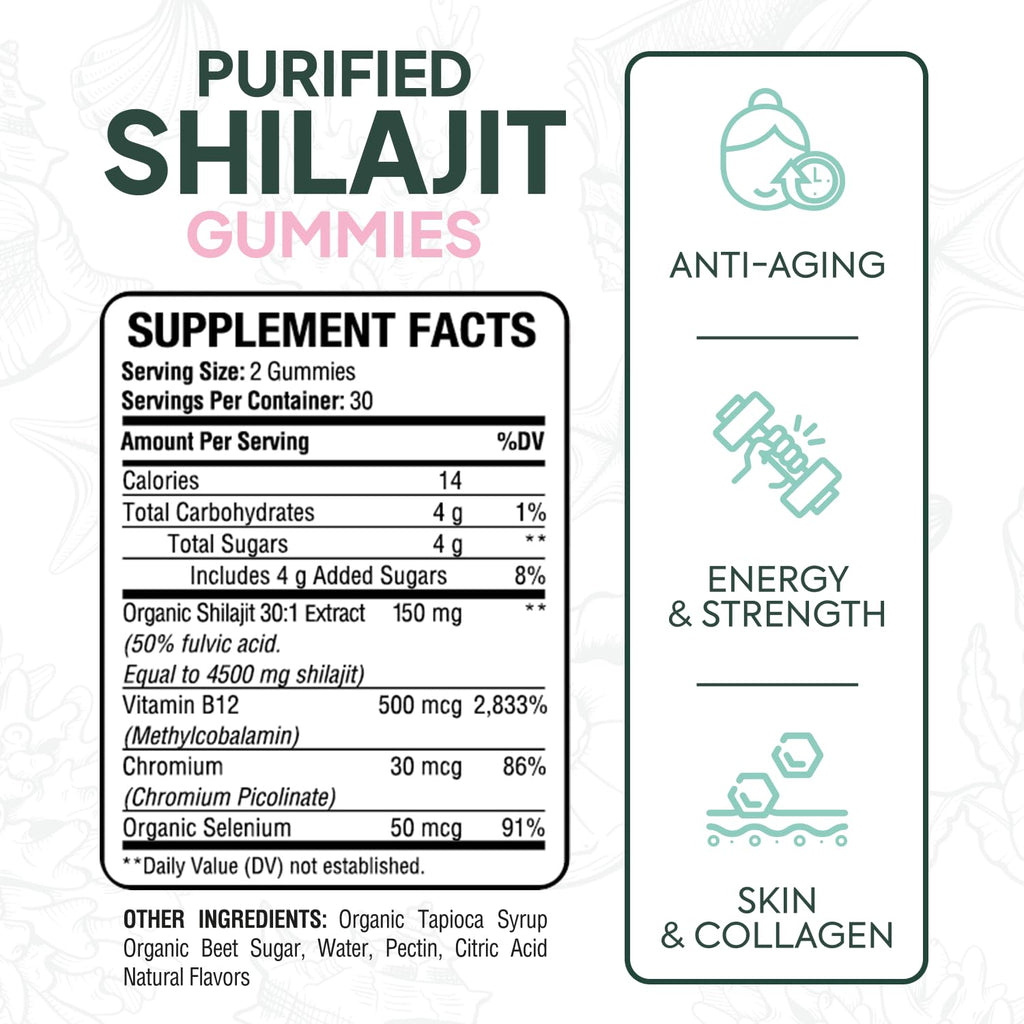 Organics Ocean Shilajit Gummies – Pumpkin Cocoa, 60 Gummies